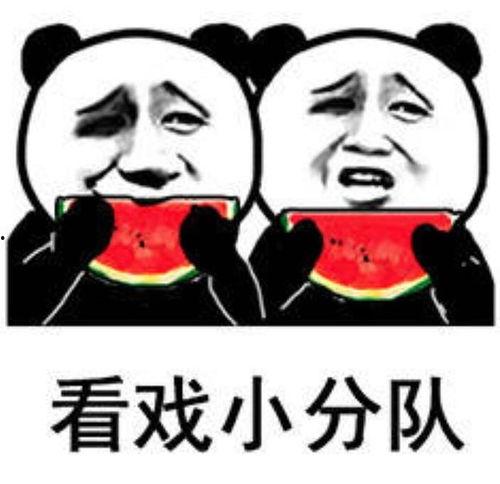 吃瓜表情包的意思